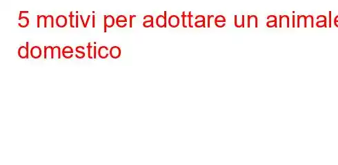 5 motivi per adottare un animale domestico