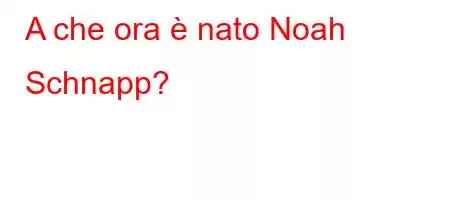 A che ora è nato Noah Schnapp?