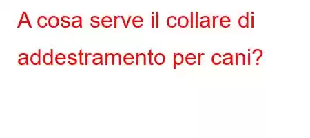 A cosa serve il collare di addestramento per cani?