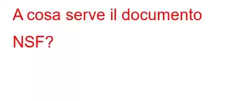 A cosa serve il documento NSF