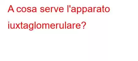 A cosa serve l'apparato iuxtaglomerulare?