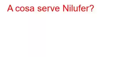 A cosa serve Nilufer