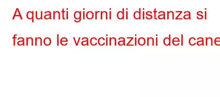 A quanti giorni di distanza si fanno le vaccinazioni del cane?