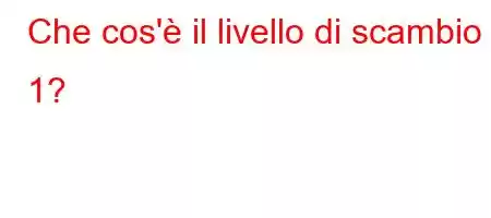 Che cos'è il livello di scambio 1?