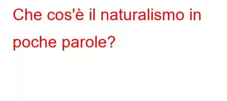 Che cos'è il naturalismo in poche parole