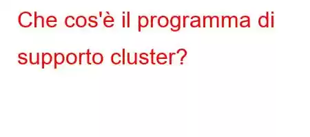 Che cos'è il programma di supporto cluster?