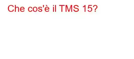 Che cos'è il TMS 15