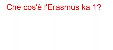 Che cos'è l'Erasmus ka 1?