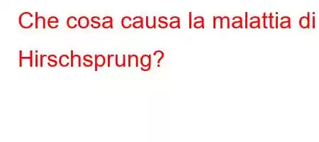 Che cosa causa la malattia di Hirschsprung?