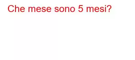 Che mese sono 5 mesi