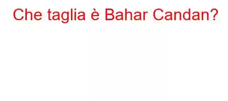 Che taglia è Bahar Candan