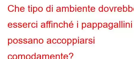 Che tipo di ambiente dovrebbe esserci affinché i pappagallini possano accoppiarsi comodamente?