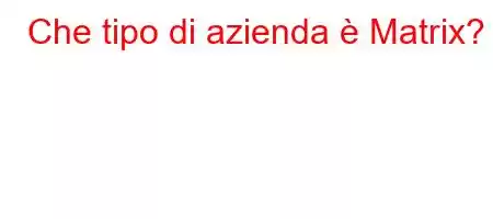 Che tipo di azienda è Matrix