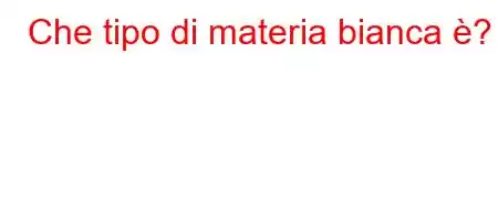 Che tipo di materia bianca è