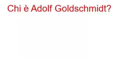 Chi è Adolf Goldschmidt?