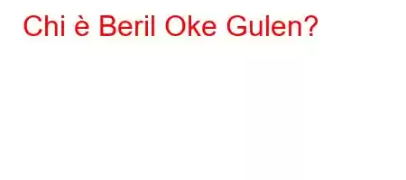 Chi è Beril Oke Gulen?