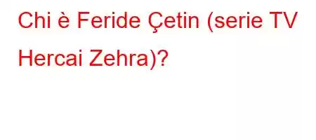 Chi è Feride Çetin (serie TV Hercai Zehra)