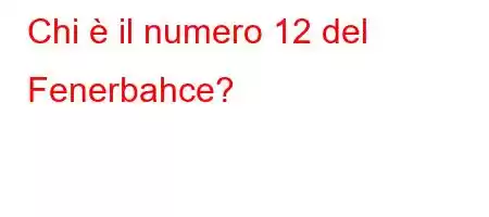 Chi è il numero 12 del Fenerbahce?