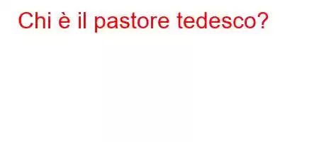 Chi è il pastore tedesco?