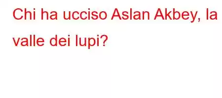 Chi ha ucciso Aslan Akbey, la valle dei lupi