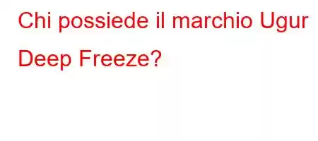 Chi possiede il marchio Ugur Deep Freeze?