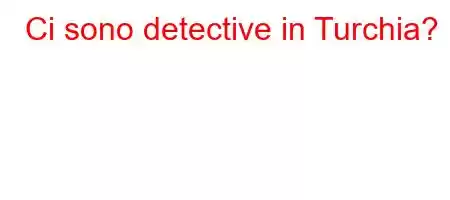 Ci sono detective in Turchia?