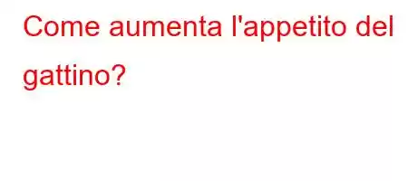 Come aumenta l'appetito del gattino