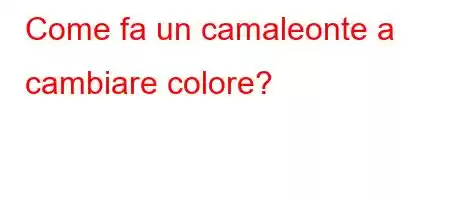 Come fa un camaleonte a cambiare colore?