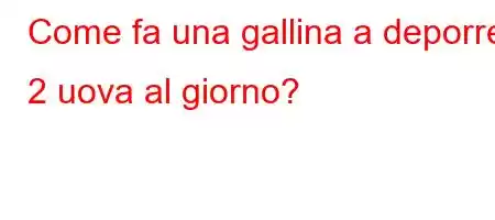 Come fa una gallina a deporre 2 uova al giorno?