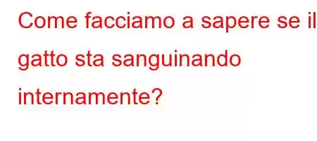 Come facciamo a sapere se il gatto sta sanguinando internamente?