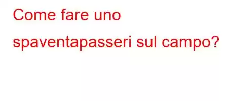 Come fare uno spaventapasseri sul campo?