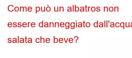 Come può un albatros non essere danneggiato dall'acqua salata che beve