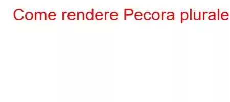 Come rendere Pecora plurale?