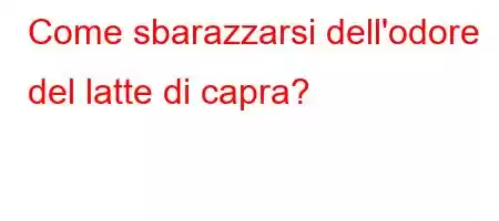 Come sbarazzarsi dell'odore del latte di capra?