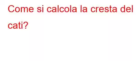 Come si calcola la cresta del cati?