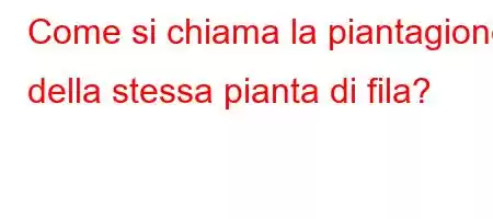 Come si chiama la piantagione della stessa pianta di fila?