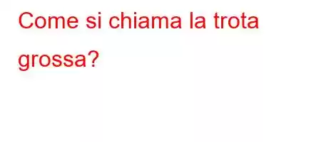 Come si chiama la trota grossa?