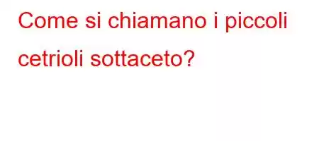 Come si chiamano i piccoli cetrioli sottaceto?