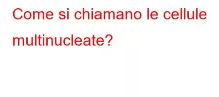 Come si chiamano le cellule multinucleate