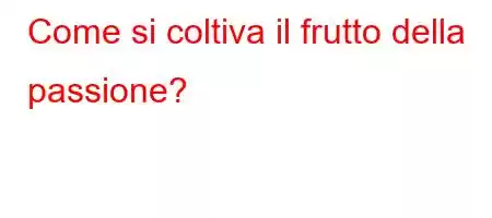 Come si coltiva il frutto della passione?