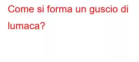 Come si forma un guscio di lumaca?