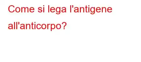 Come si lega l'antigene all'anticorpo?