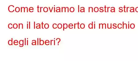 Come troviamo la nostra strada con il lato coperto di muschio degli alberi