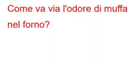 Come va via l'odore di muffa nel forno