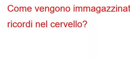 Come vengono immagazzinati i ricordi nel cervello?