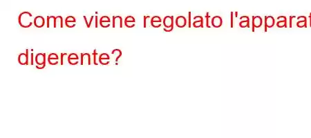 Come viene regolato l'apparato digerente?