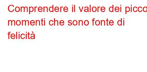 Comprendere il valore dei piccoli momenti che sono fonte di felicità