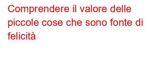 Comprendere il valore delle piccole cose che sono fonte di felicità