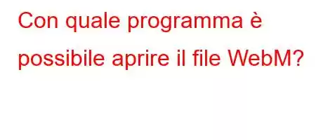 Con quale programma è possibile aprire il file WebM?