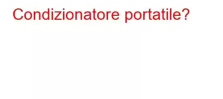 Condizionatore portatile?